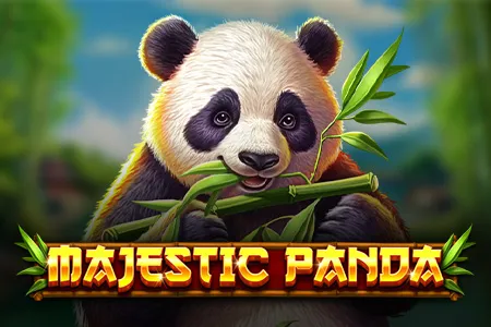 Majestic Panda – Exklusiver Slot mit asiatischem Flair